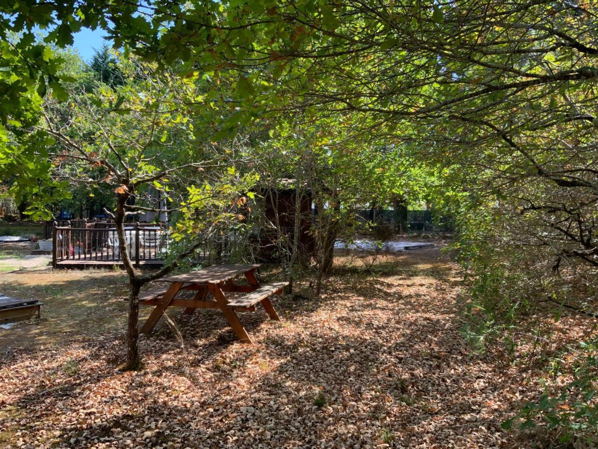 Bed and Breakfast Domaine De Labelo Commensacq Exterior foto