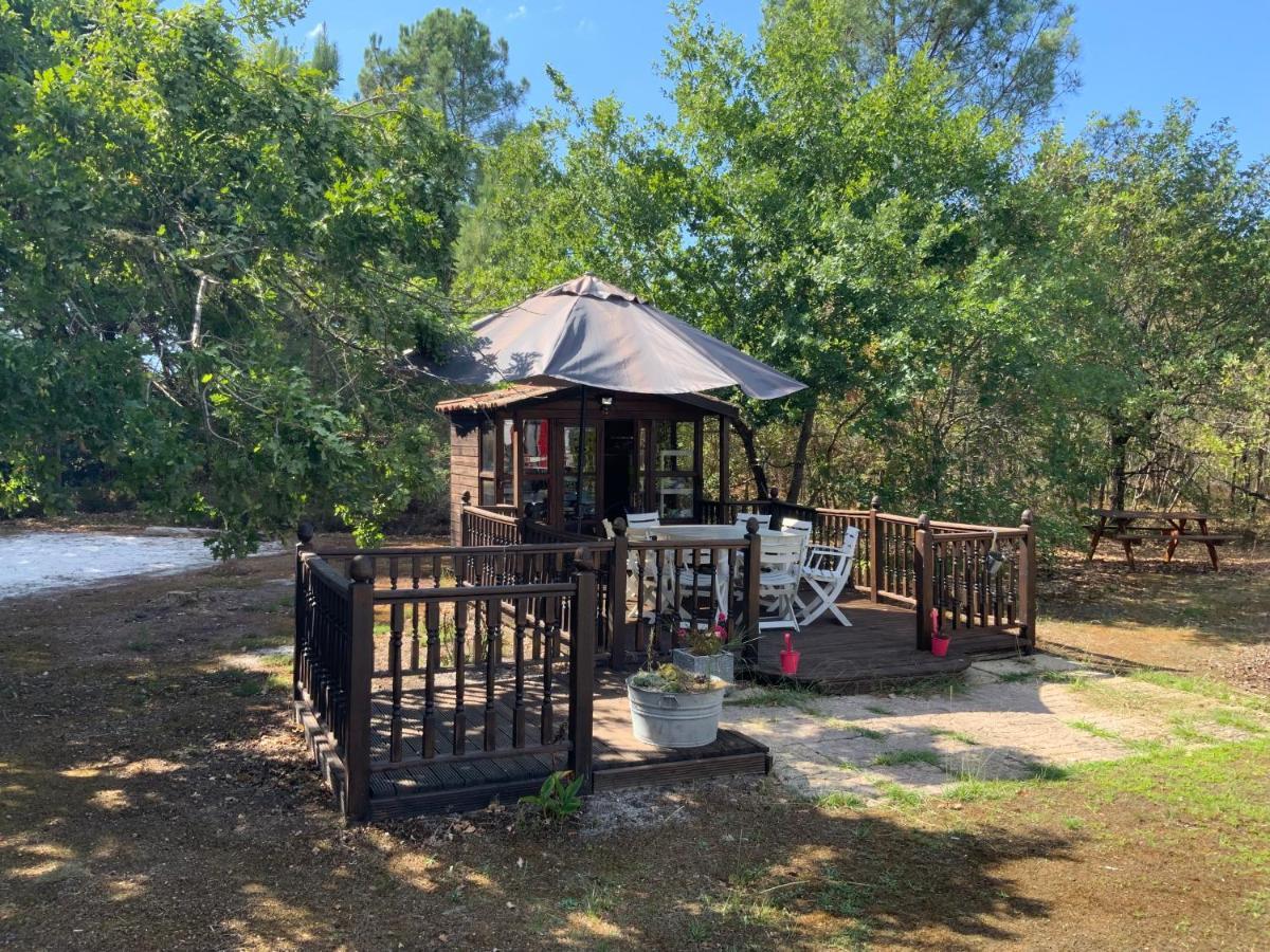 Bed and Breakfast Domaine De Labelo Commensacq Exterior foto
